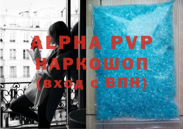 индика Абаза