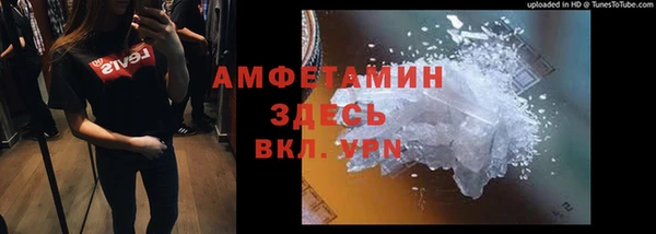 индика Абаза