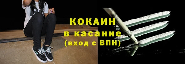 индика Абаза