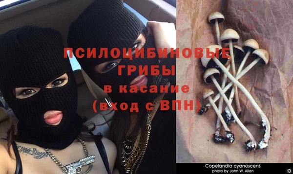 кокс Алексеевка