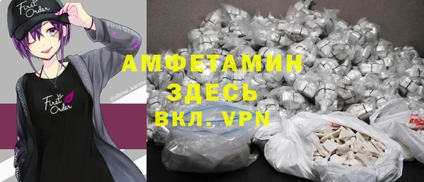 индика Абаза
