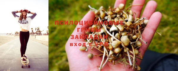 дурь Абдулино